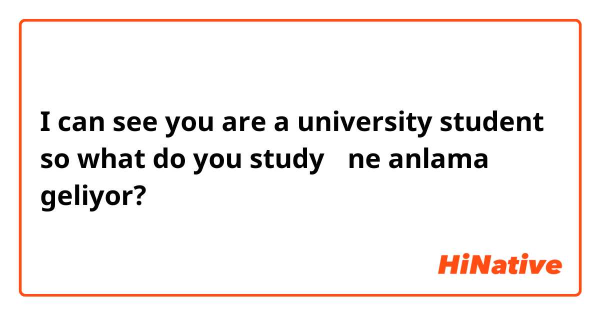 I can see you are a university student so what do you study？ ne anlama geliyor?