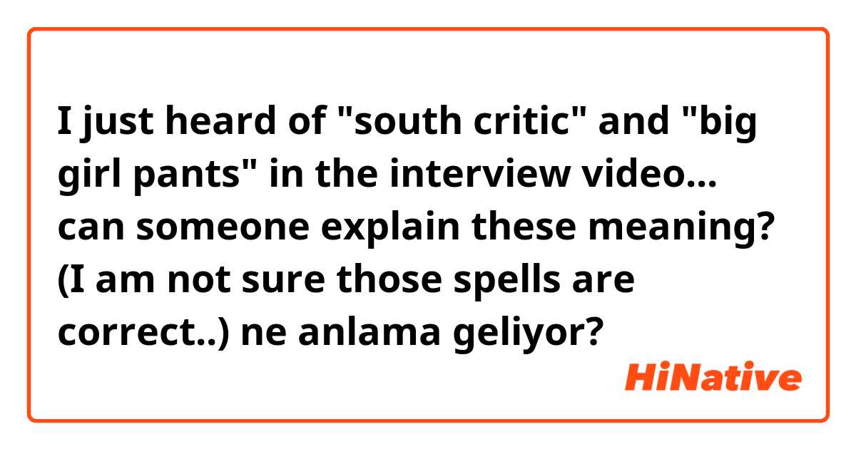 I just heard of "south critic"  and "big girl pants"  in the  interview video... can someone explain these meaning?
(I am not sure those spells are correct..) ne anlama geliyor?