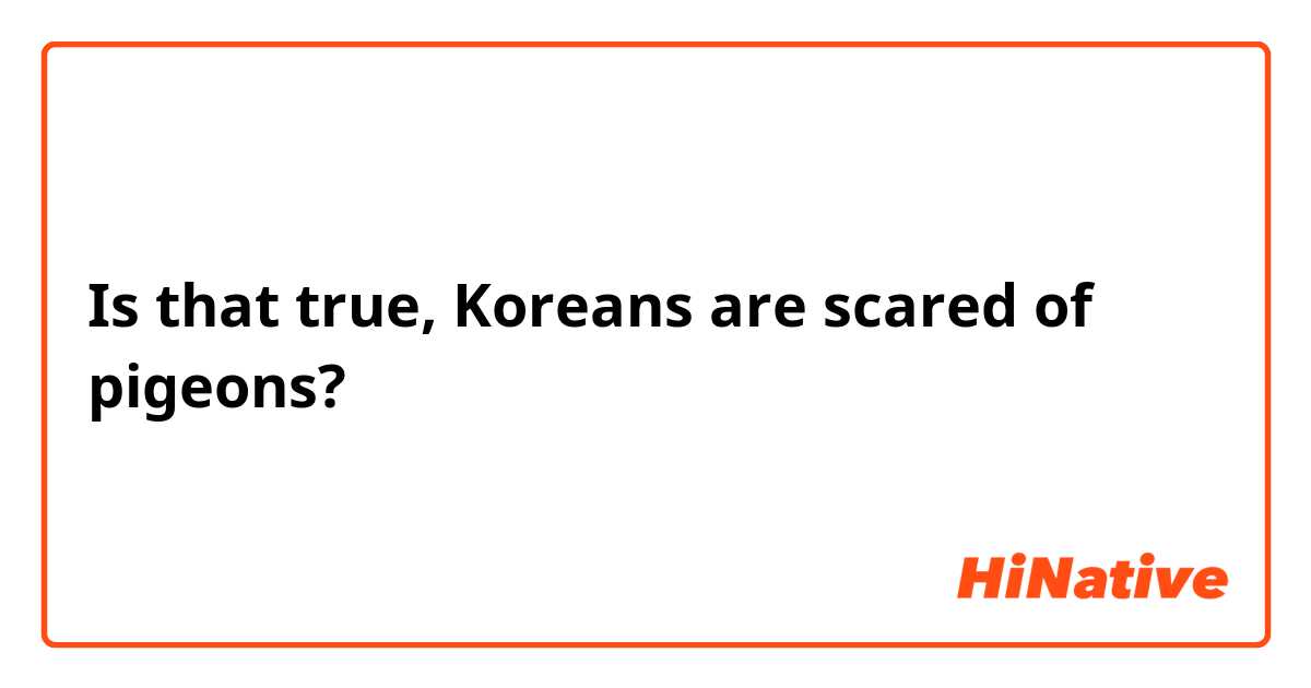 Is that true, Koreans are scared of pigeons?