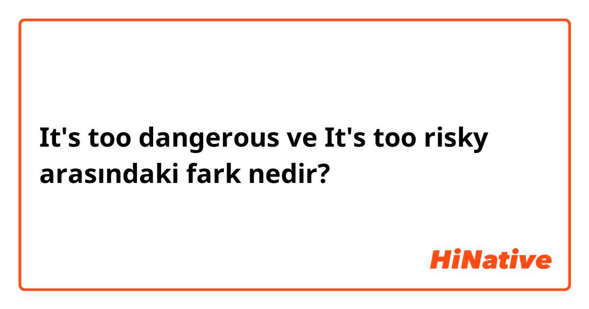 It's too dangerous  ve It's too risky  arasındaki fark nedir?