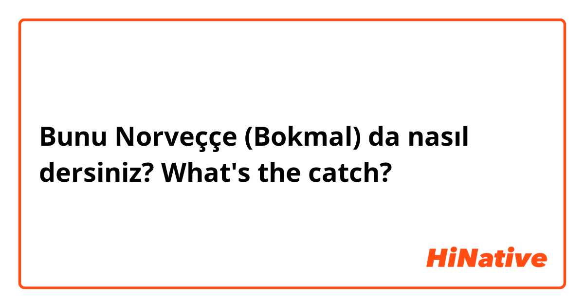 Bunu Norveççe (Bokmal) da nasıl dersiniz? What's the catch?