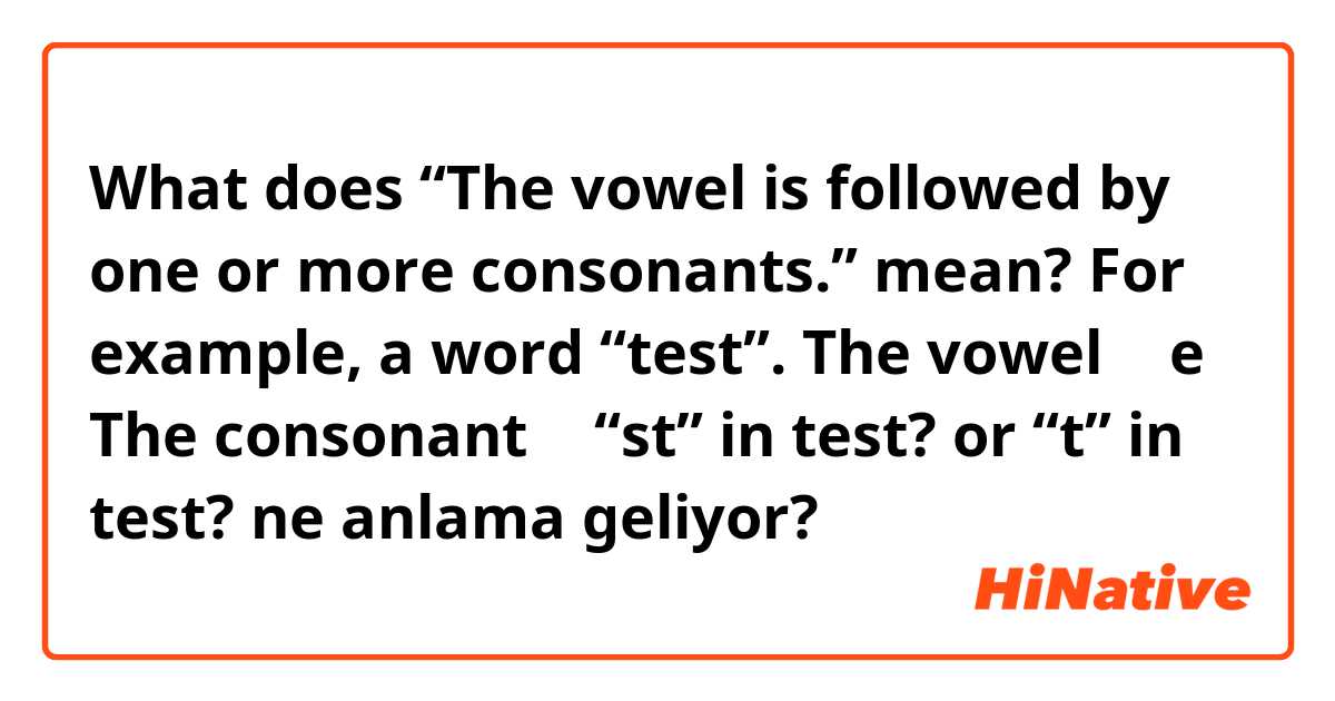 What does “The vowel is followed by one or more consonants.” mean?

For example, a word “test”.

The vowel → e
The consonant → “st” in test?   or “t” in test?





 ne anlama geliyor?