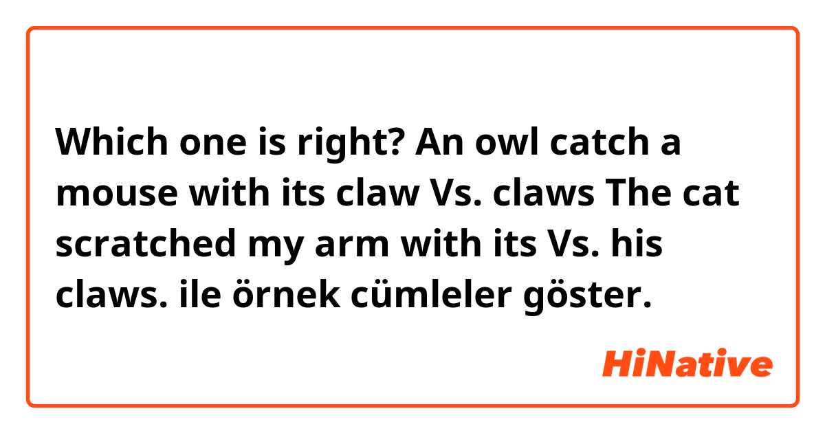 
Which one is right?
An owl catch a mouse with its claw Vs. claws
The cat scratched my arm with its Vs. his claws.
 ile örnek cümleler göster.