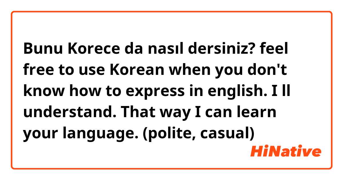 Bunu Korece da nasıl dersiniz? feel free to use Korean when you don't know how to express in english. I ll understand. That way I can learn your language. (polite, casual)