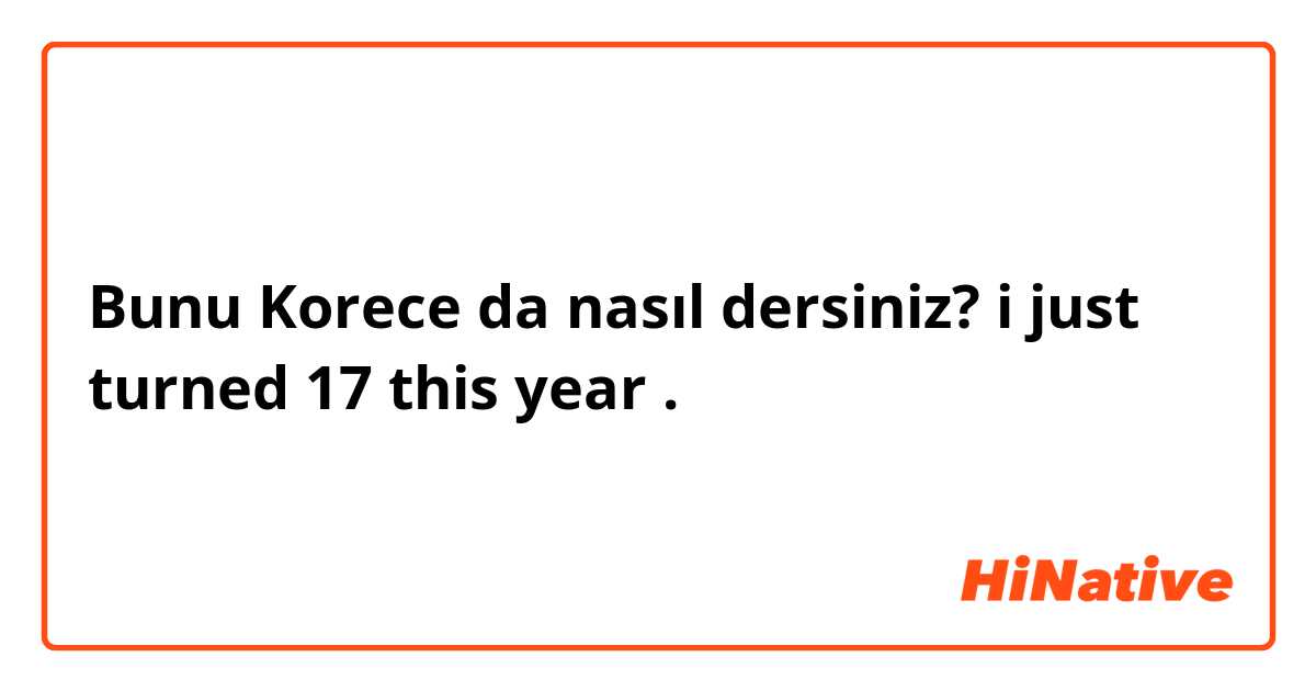 Bunu Korece da nasıl dersiniz? i just turned 17 this year . 