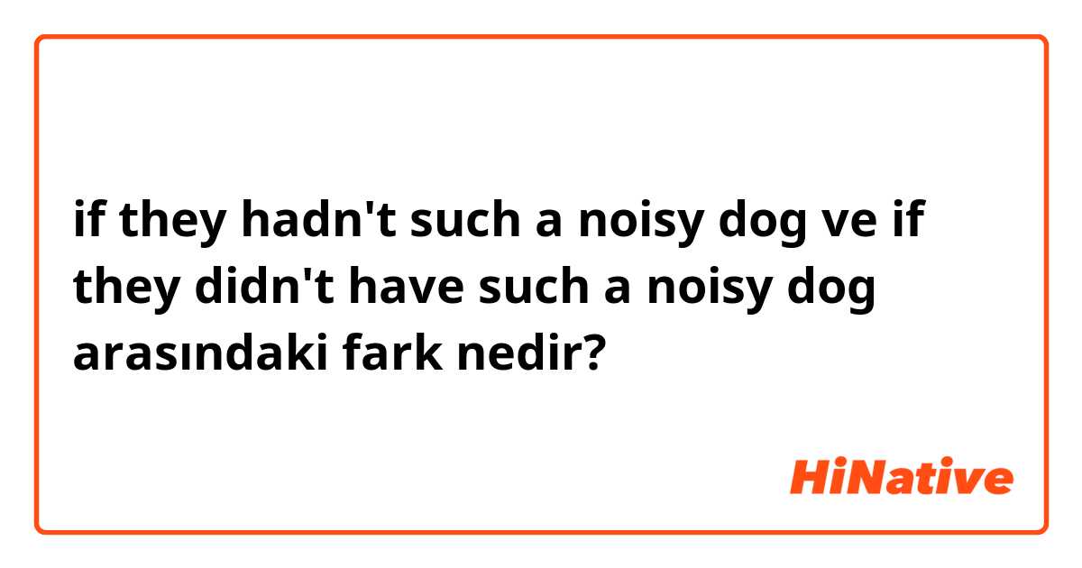 if they hadn't such a noisy dog ve if they didn't have such a noisy dog arasındaki fark nedir?
