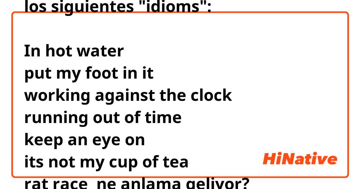 los siguientes "idioms":

In hot water
put my foot in it
working against the clock
running out of time
keep an eye on
its not my cup of tea
rat race ne anlama geliyor?