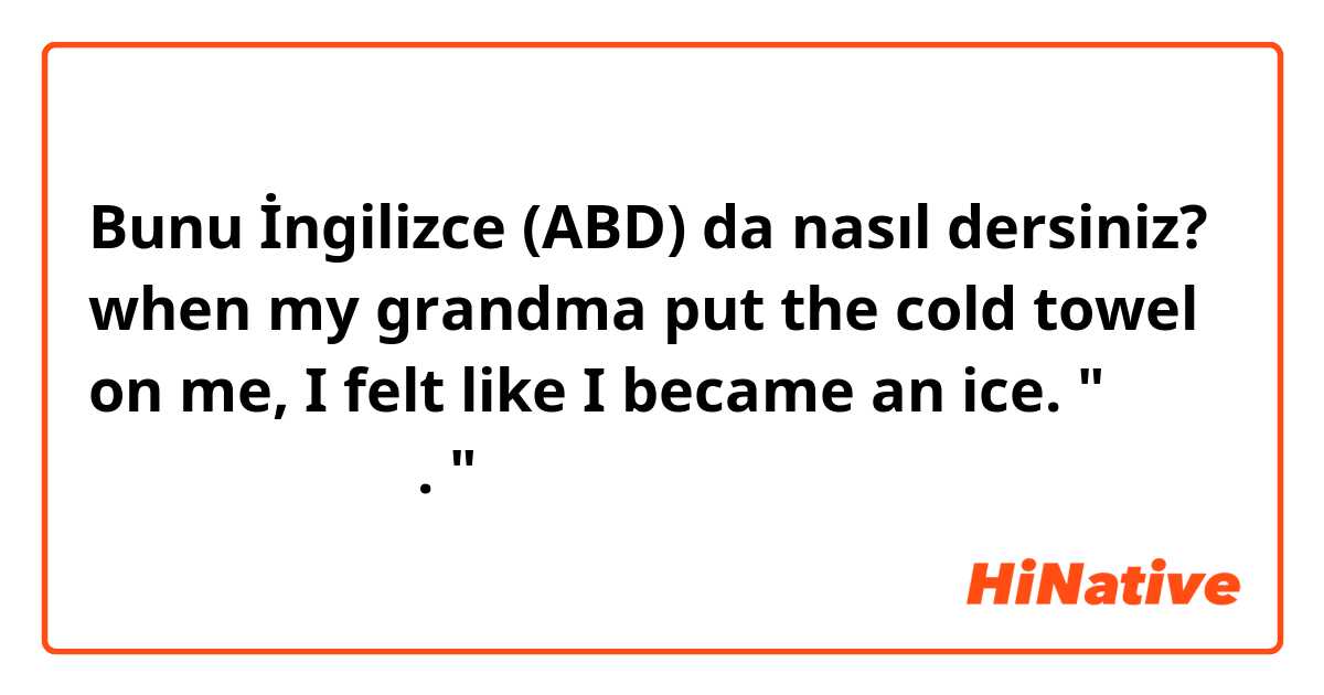 Bunu İngilizce (ABD) da nasıl dersiniz? when my grandma put the cold towel on me,
I felt like I became an ice. 
"나는 얼음이 된 것 같았다. "