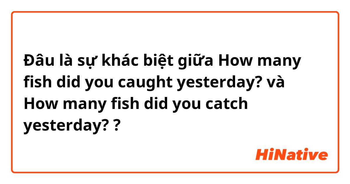 Đâu là sự khác biệt giữa How many fish did you caught yesterday? và How many fish did you catch yesterday? ?