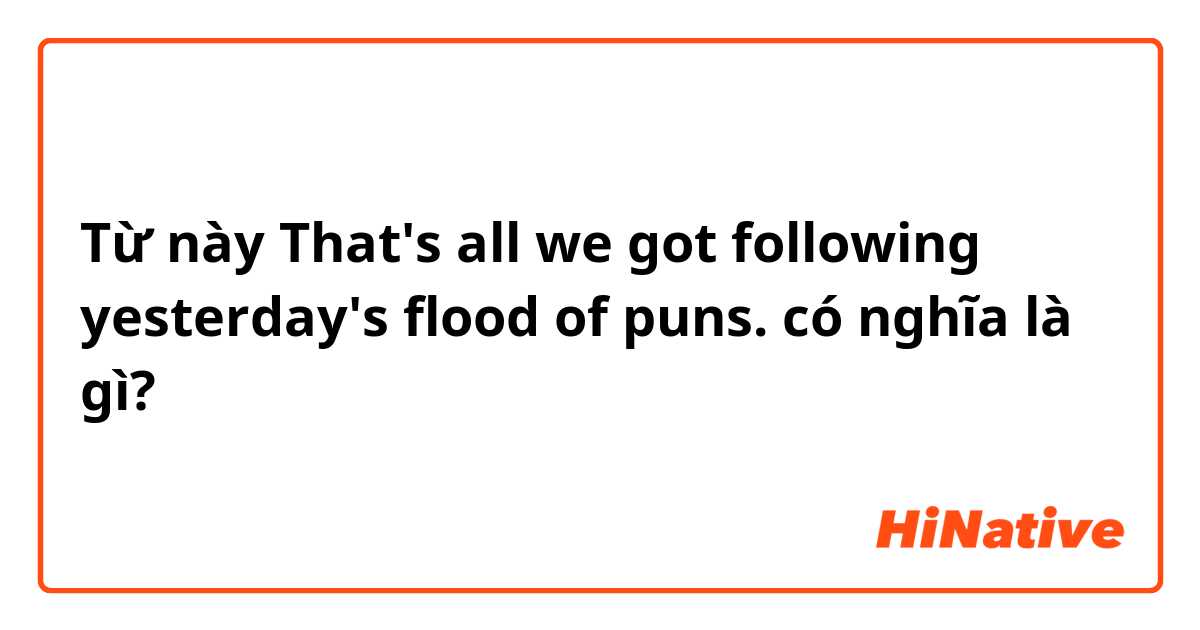 Từ này That's all we got following yesterday's flood of puns. có nghĩa là gì?