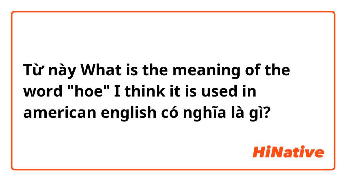 Từ này What is the meaning of the word "hoe" I think it is used in american english có nghĩa là gì?