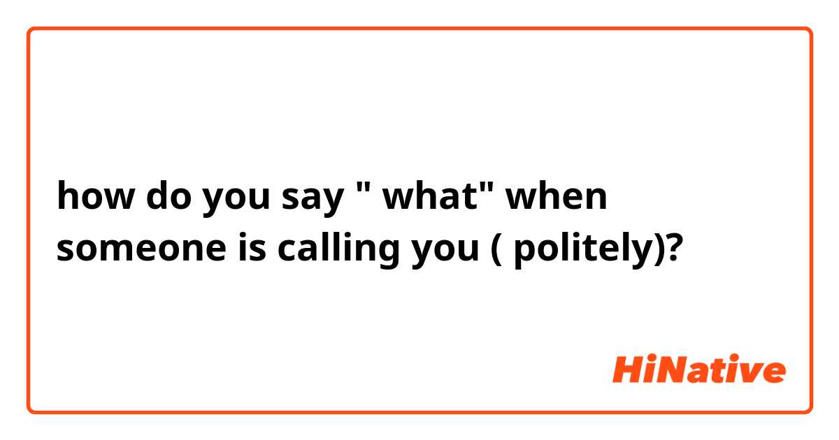 how do you say " what" when someone is calling you ( politely)?