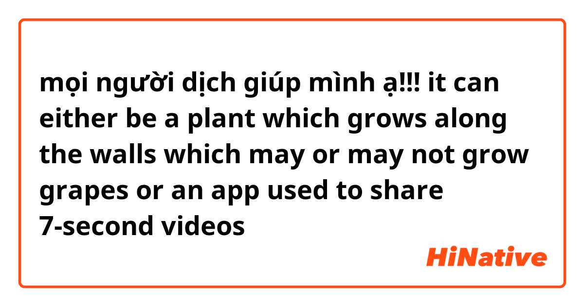 mọi người dịch giúp mình ạ!!!
it can either be 

a plant which grows along the walls which may or may not grow grapes 

or 

an app used to share 7-second videos