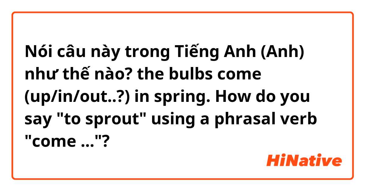 Nói câu này trong Tiếng Anh (Anh) như thế nào? the bulbs come (up/in/out..?) in spring. How do you say "to sprout" using a phrasal verb "come ..."?