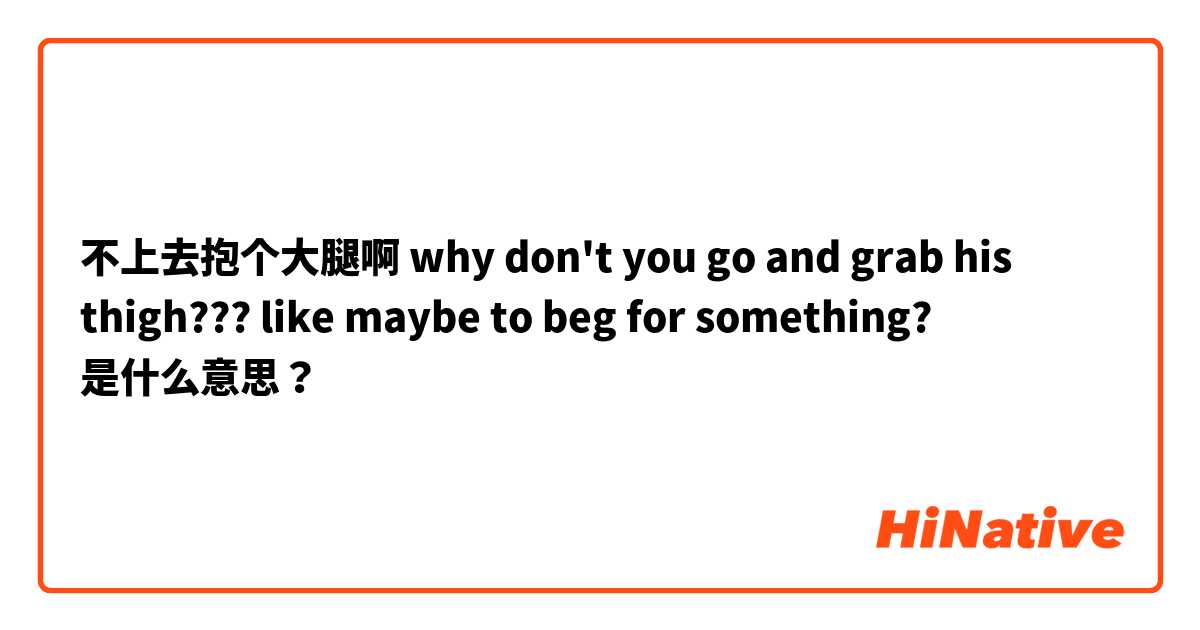 不上去抱个大腿啊
why don't you go and grab his thigh??? like maybe to  beg for something? 是什么意思？