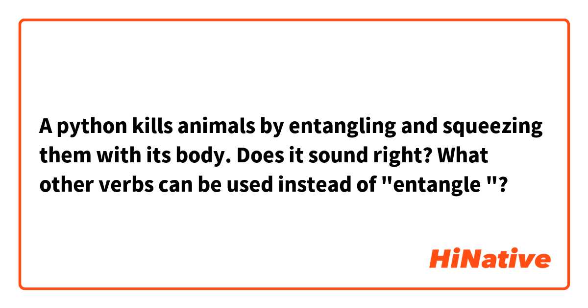 A python kills animals by entangling and squeezing them with its body.

Does it sound right?
What other verbs can be used instead of "entangle "?

