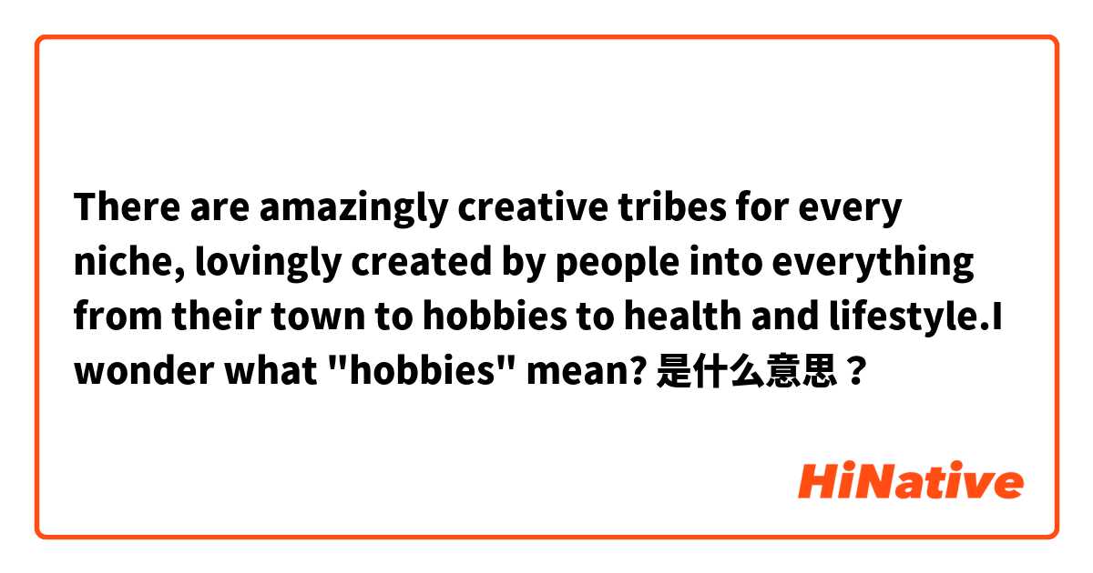 There are amazingly creative tribes for every niche, lovingly created by people into everything from their town to hobbies to health and lifestyle.I wonder what "hobbies" mean? 是什么意思？
