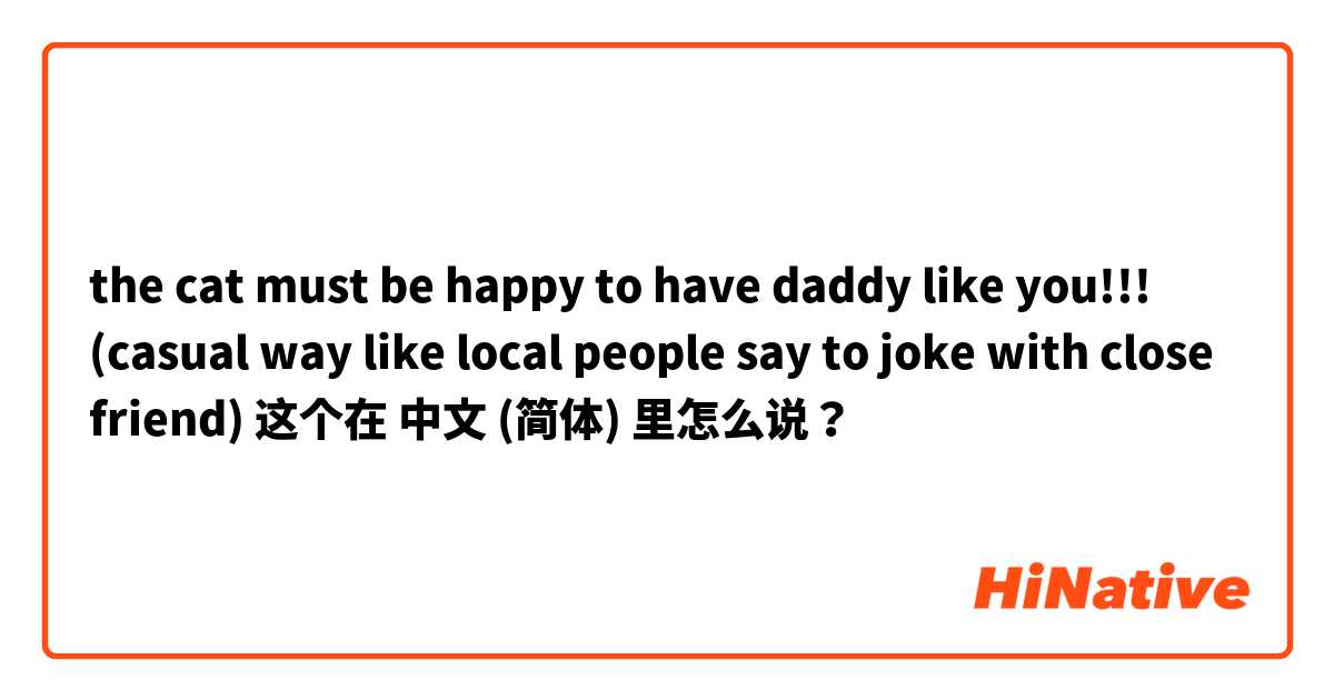 the cat must be happy to have daddy like you!!! (casual way like local people say to joke with close friend😂) 这个在 中文 (简体) 里怎么说？