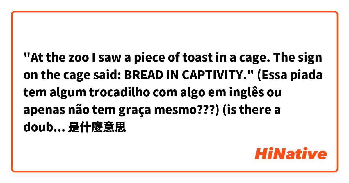 "At the zoo I saw a piece of toast in a cage. The sign on the cage said: BREAD IN CAPTIVITY."

(Essa piada tem algum trocadilho com algo em inglês ou apenas não tem graça mesmo???)
(is there a double meaning to this joke or is it just plain boring?)
是什麼意思