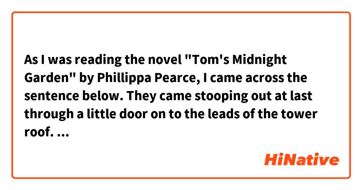 As I was reading the novel "Tom's Midnight Garden" by Phillippa Pearce, I came across the sentence below.

They came stooping out at last through a little door on to the leads of the tower roof.

I'm not sure what "the leads of the tower roof" means.
(They have just climbed Ely Cathedral.)