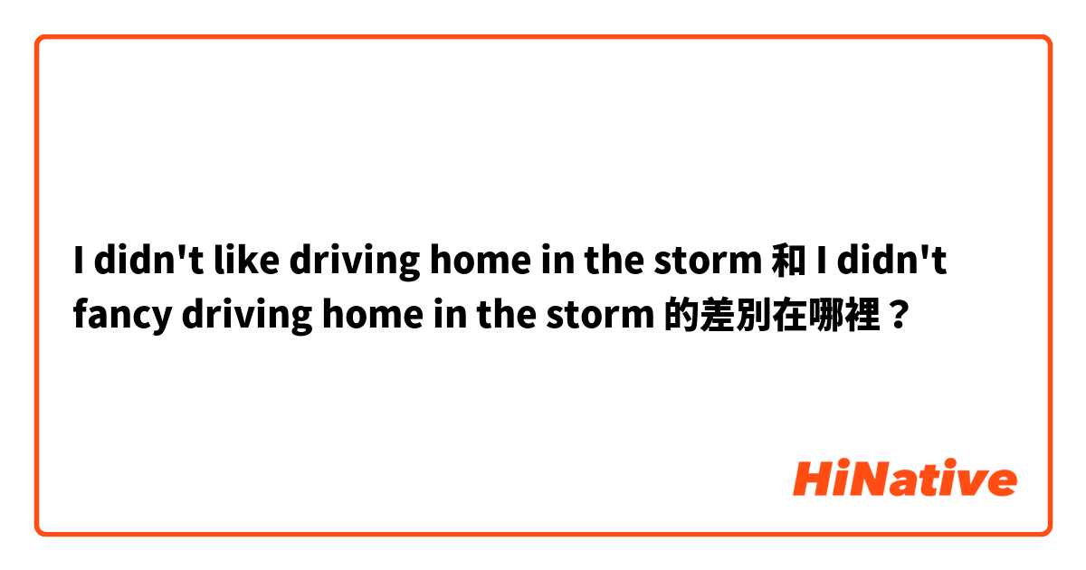 I didn't like driving home in the storm 和 I didn't fancy driving home in the storm 的差別在哪裡？