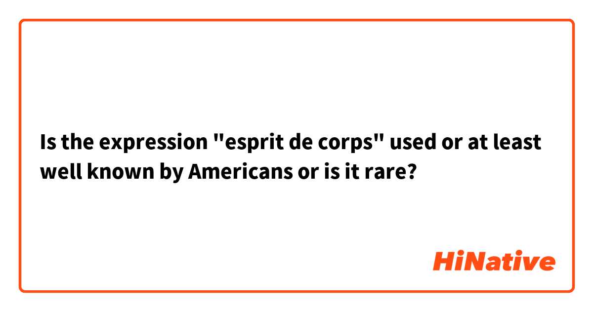 Is the expression "esprit de corps" used or at least well known by Americans or is it rare?