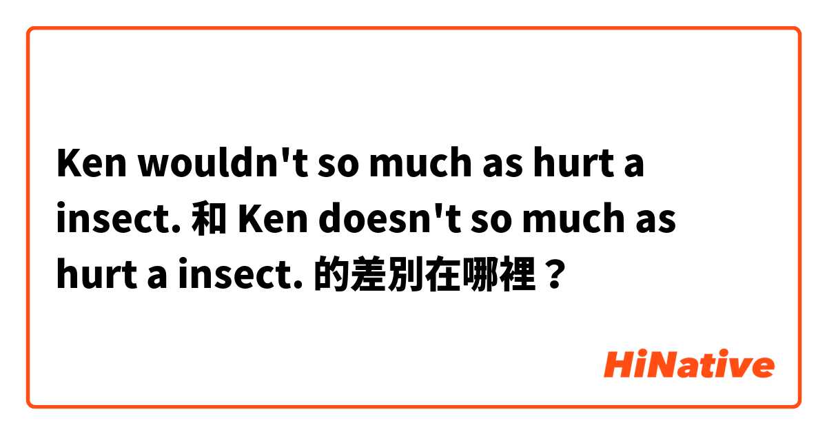 Ken wouldn't so much as hurt a insect. 和 Ken doesn't so much as hurt a insect. 的差別在哪裡？