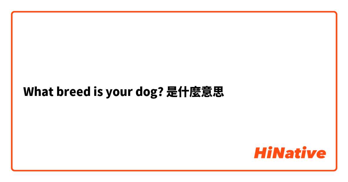 What breed is your dog?是什麼意思