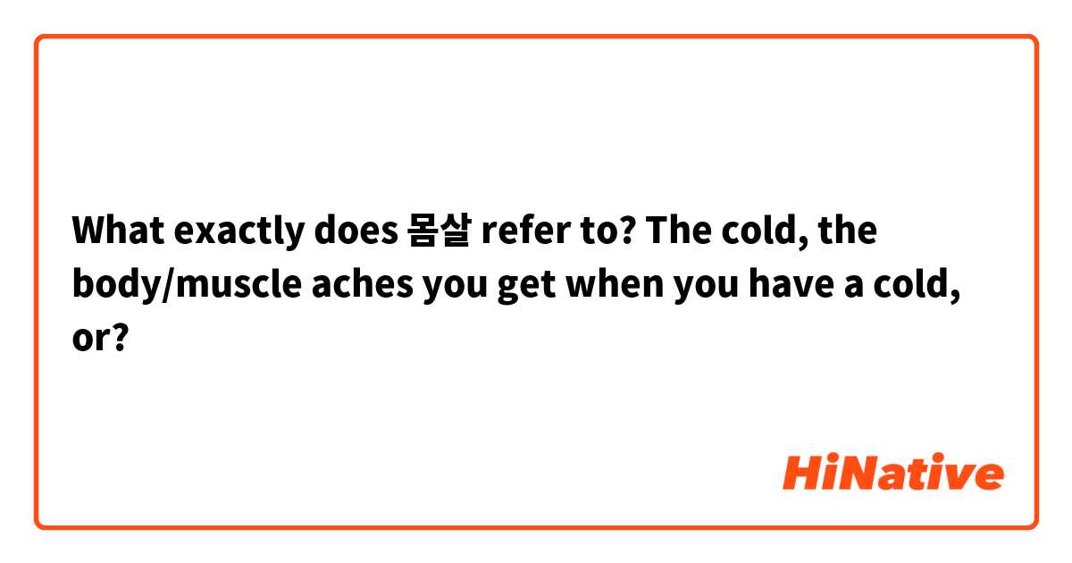 What exactly does 몸살 refer to? The cold, the body/muscle aches you get when you have a cold, or?