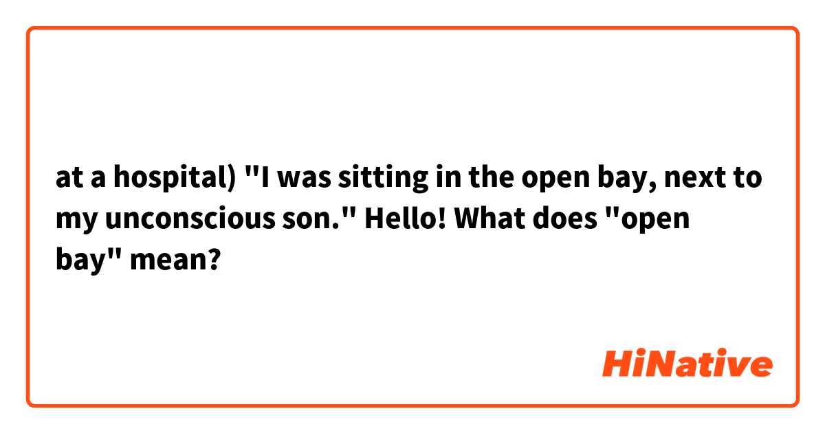 at a hospital)
"I was sitting in the open bay, next to my unconscious son."

Hello! What does "open bay" mean?