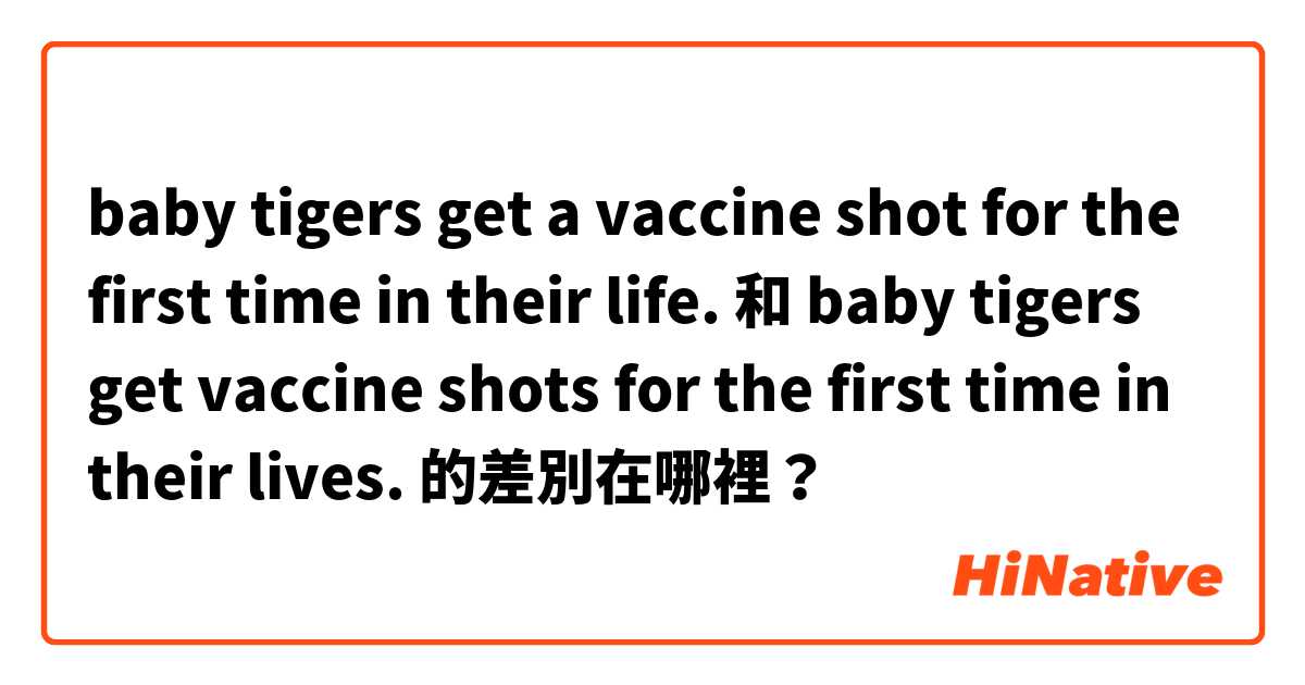 baby tigers get a vaccine shot for the first time in their life. 和 baby tigers get vaccine shots for the first time in their lives. 的差別在哪裡？