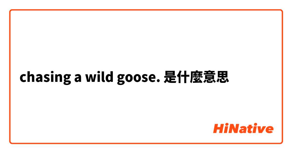 chasing a wild goose.是什麼意思