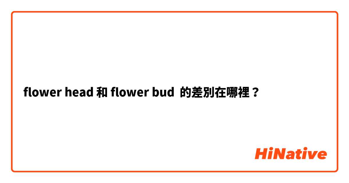 flower head 和 flower bud 的差別在哪裡？