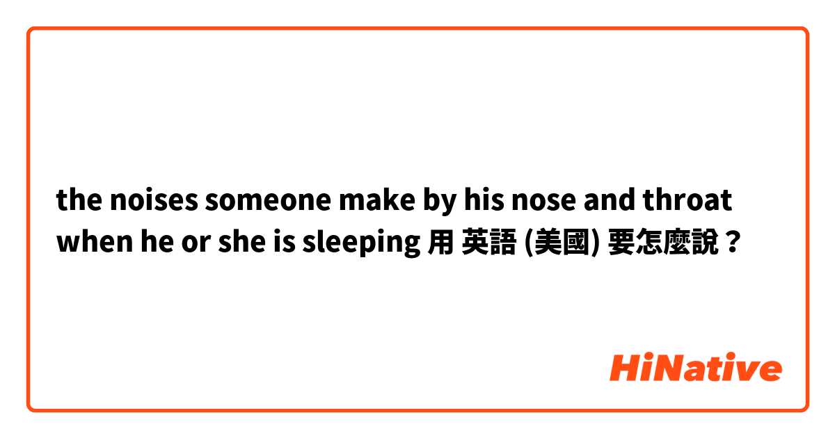 the noises someone make by his nose and throat when he or she is sleeping用 英語 (美國) 要怎麼說？