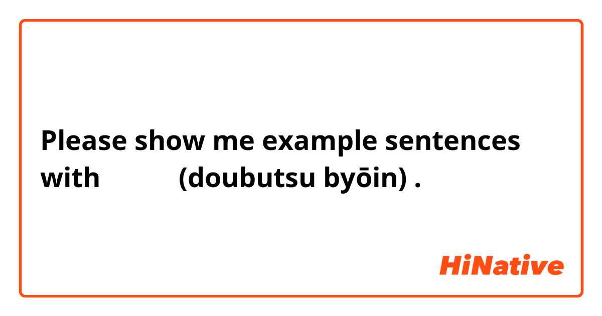 Please show me example sentences with 動物病院 (doubutsu byōin).