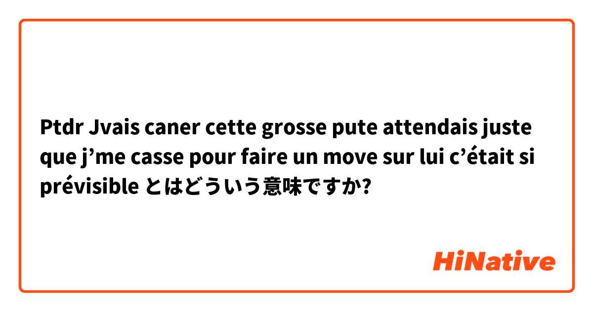 Ptdr Jvais caner cette grosse pute attendais juste que j’me casse pour faire un move sur lui c’était si prévisible とはどういう意味ですか?