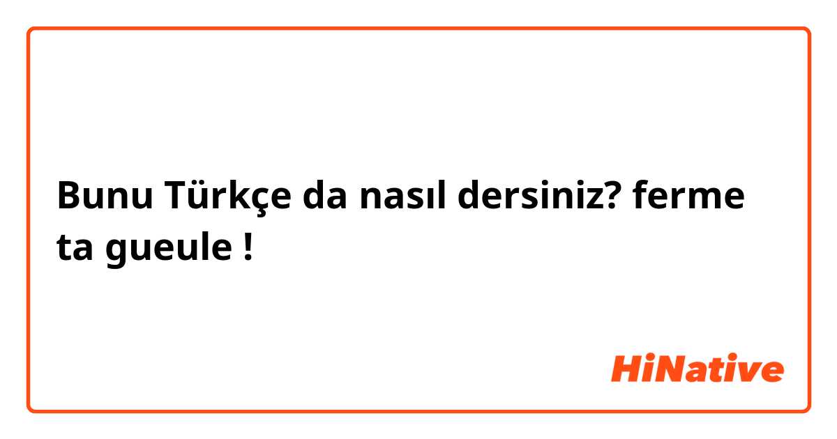 Bunu Türkçe da nasıl dersiniz? ferme ta gueule !