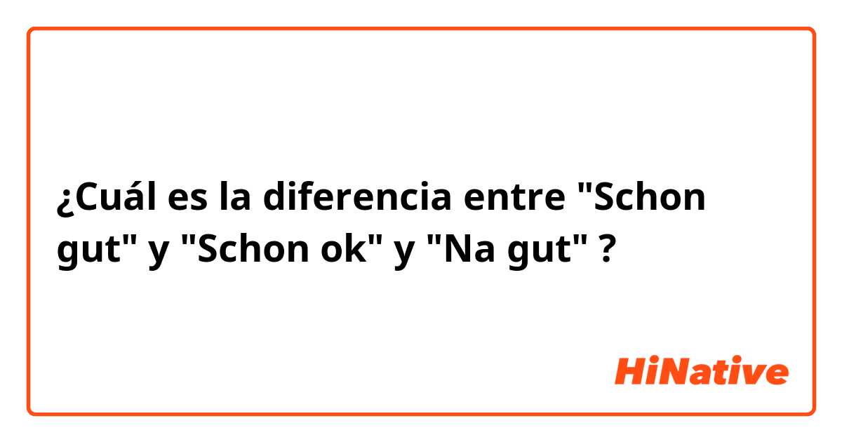 ¿Cuál es la diferencia entre "Schon gut" y "Schon ok" y "Na gut" ?