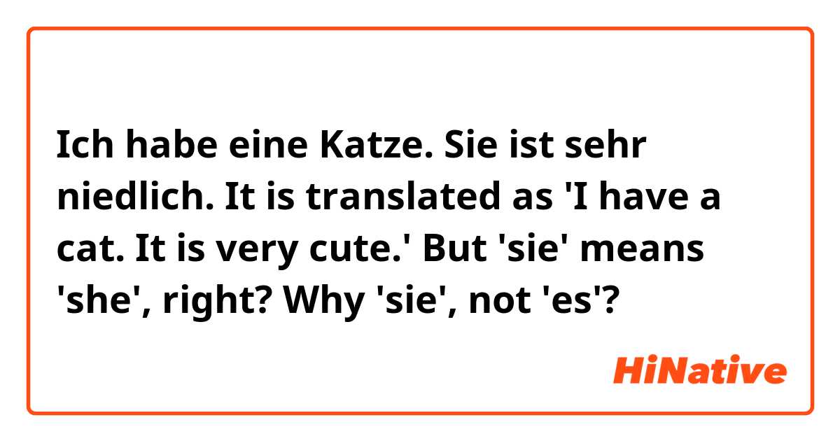 Ich habe eine Katze. Sie ist sehr niedlich.  It is translated as 'I have a cat. It is very cute.' 
But 'sie' means 'she', right? Why 'sie', not 'es'?