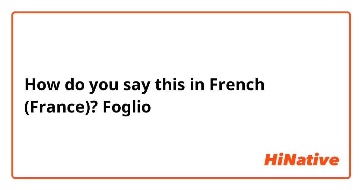 How do you say this in French (France)? Foglio