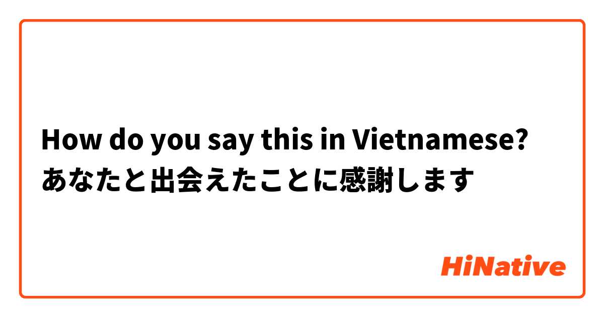 How do you say this in Vietnamese? あなたと出会えたことに感謝します