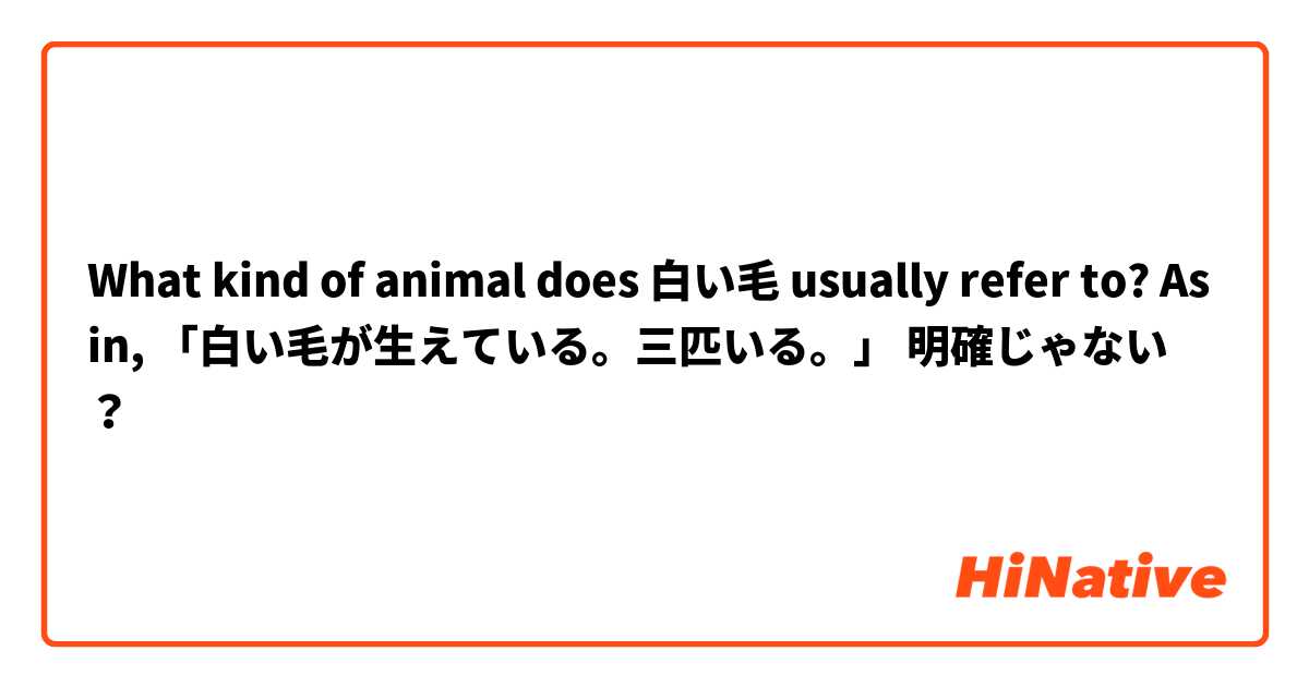What kind of animal does 白い毛 usually refer to? As in, 「白い毛が生えている。三匹いる。」 明確じゃない？