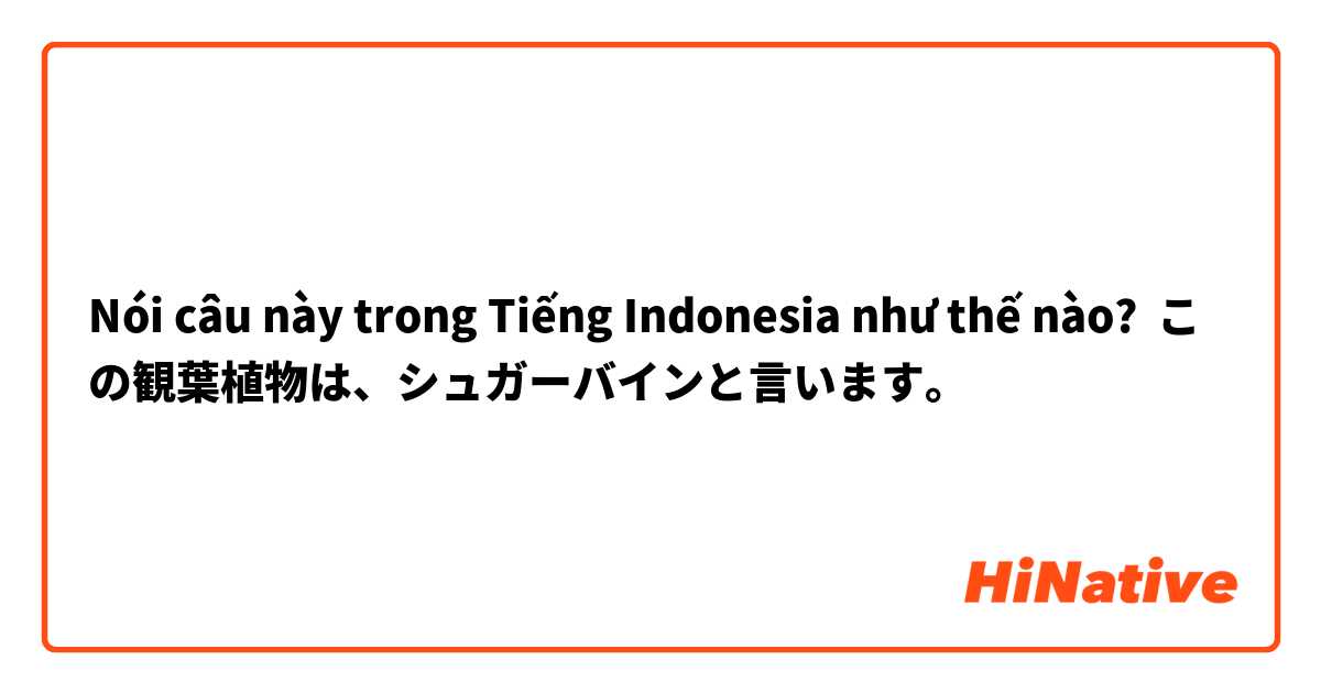 Nói câu này trong Tiếng Indonesia như thế nào? この観葉植物は、シュガーバインと言います。