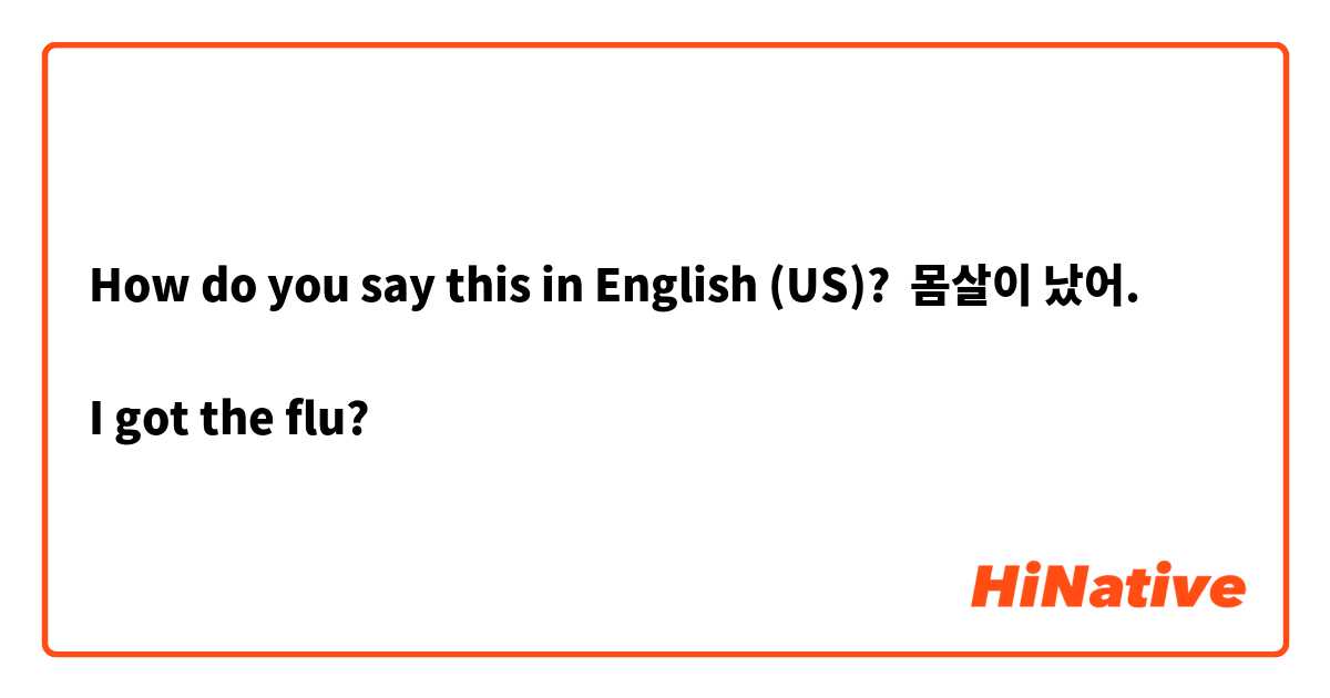 How do you say this in English (US)? 몸살이 났어. 

I got the flu?