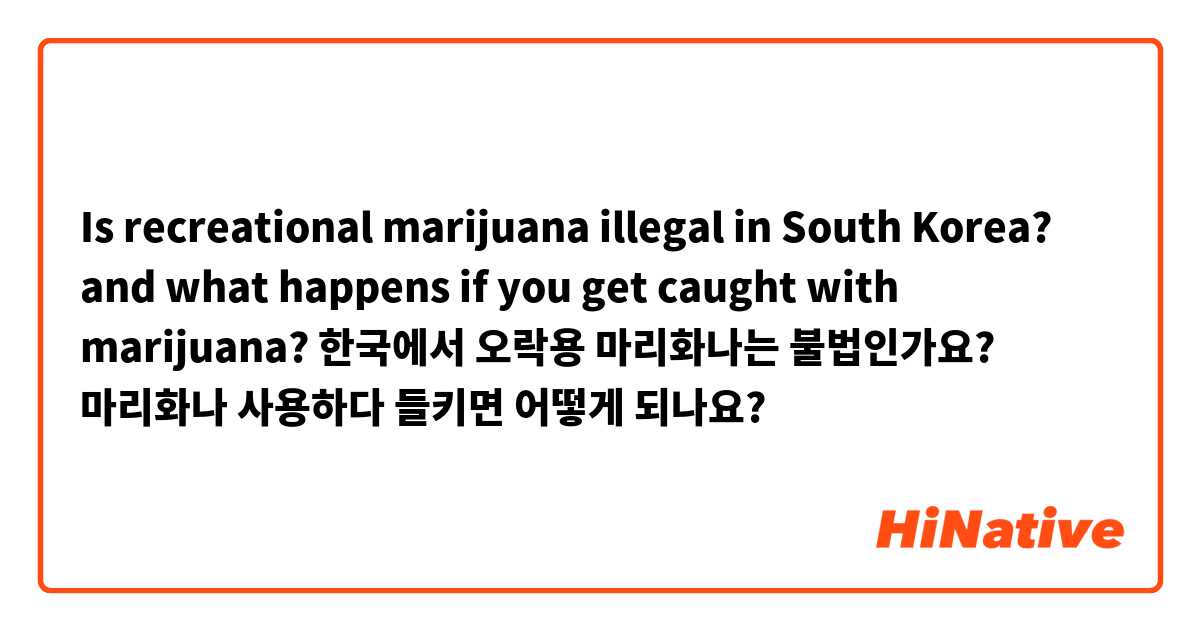 Is recreational marijuana illegal in South Korea? and what happens if you get caught with marijuana?
한국에서 오락용 마리화나는 불법인가요? 마리화나 사용하다 들키면 어떻게 되나요?