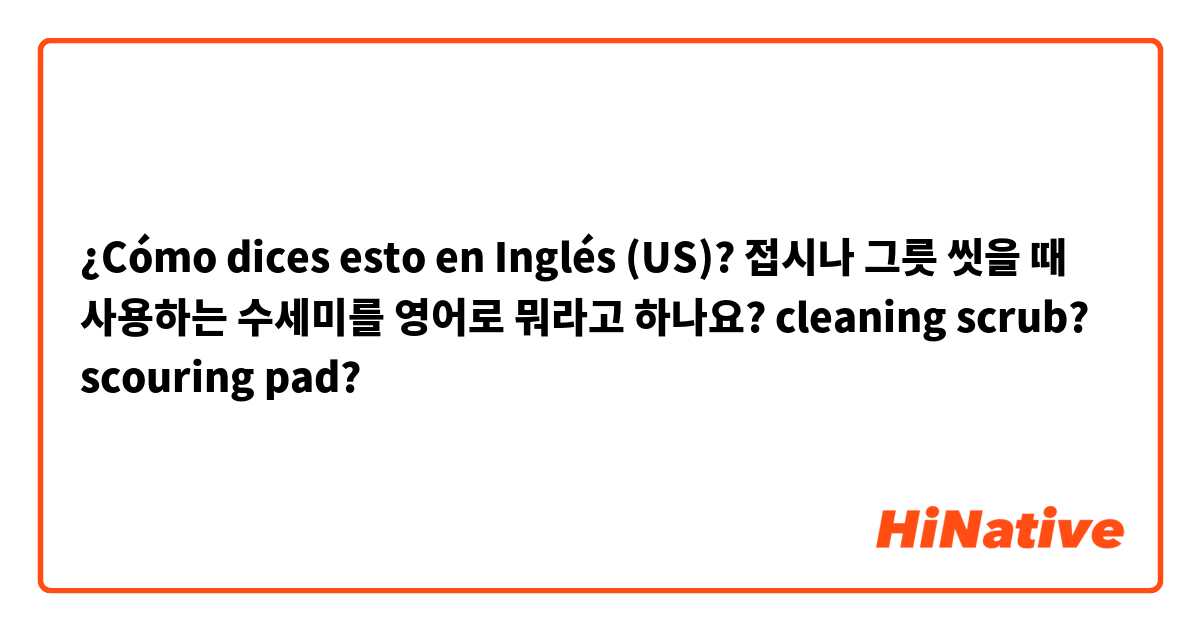 ¿Cómo dices esto en Inglés (US)? 접시나 그릇 씻을 때 사용하는 수세미를 영어로 뭐라고 하나요?  cleaning scrub? scouring pad?