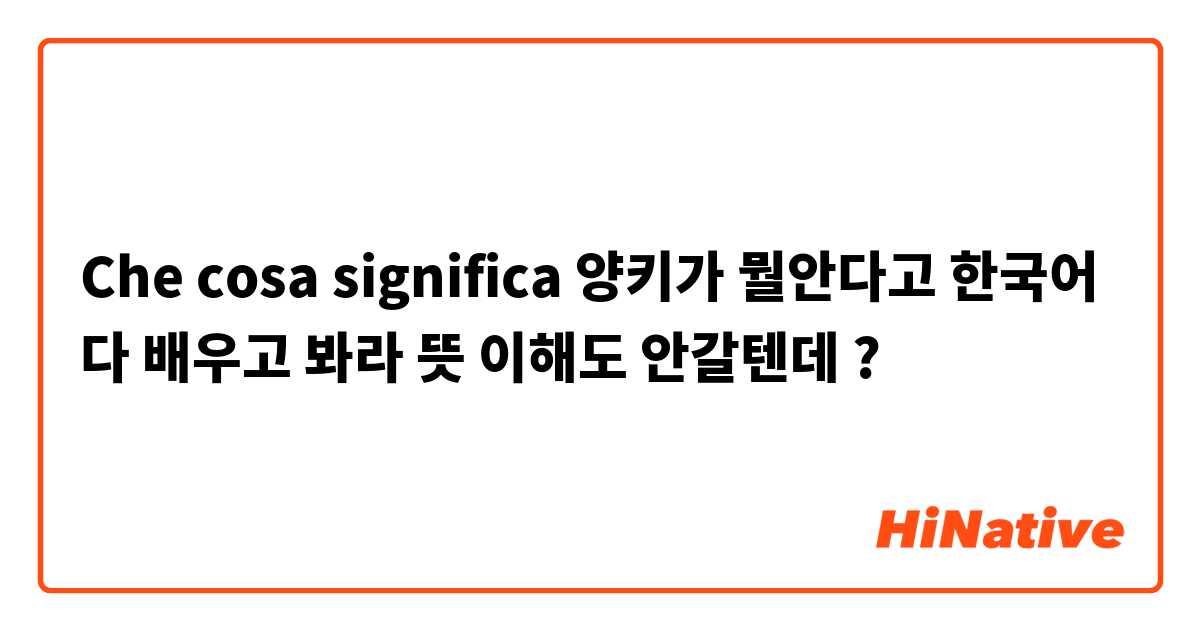 Che cosa significa 양키가 뭘안다고 한국어 다 배우고 봐라 뜻 이해도 안갈텐데?