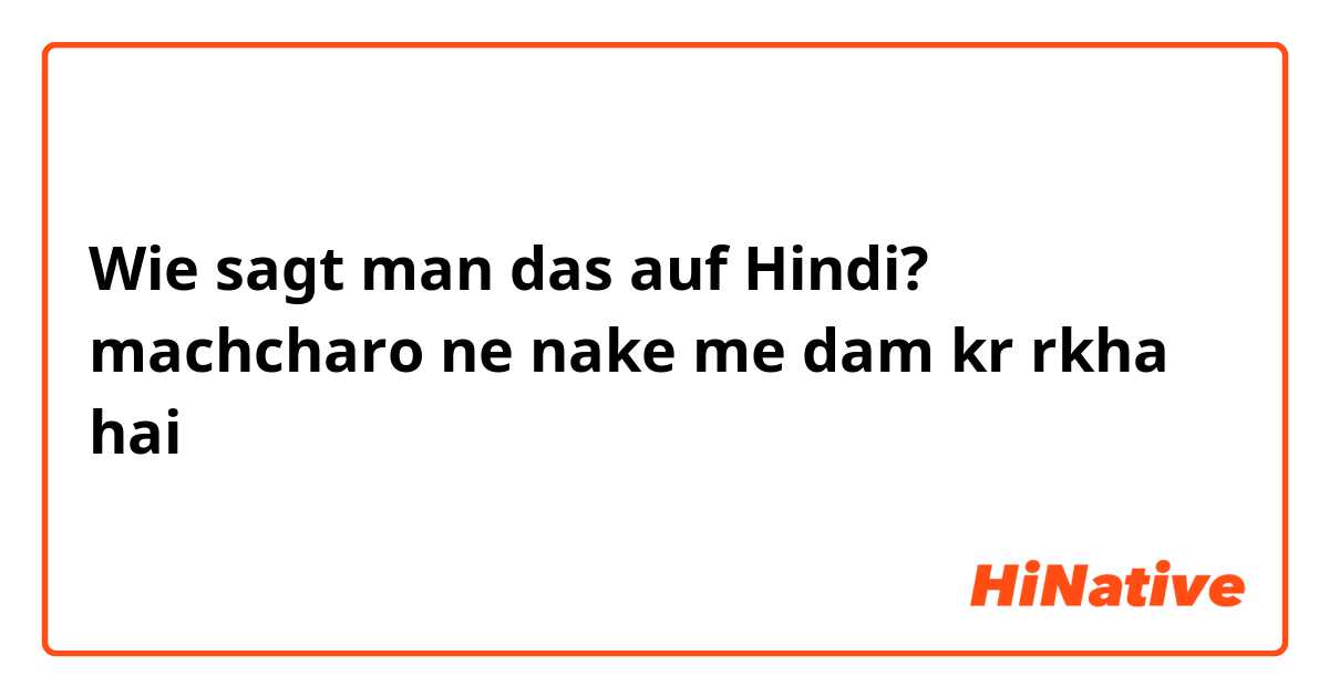 Wie sagt man das auf Hindi? machcharo ne nake me dam kr rkha hai