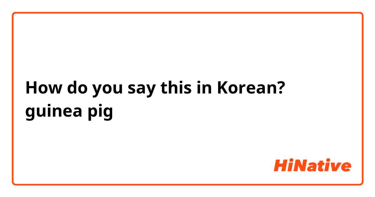 How do you say this in Korean? guinea pig
