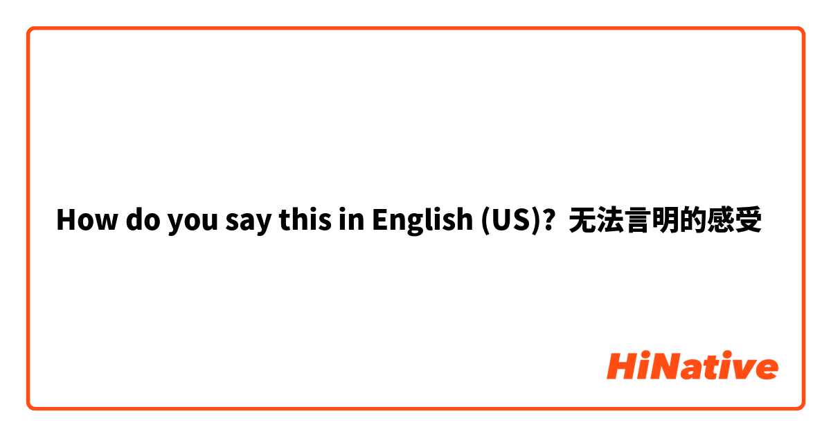 How do you say this in English (US)? 无法言明的感受